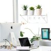 Clear Acrylic Window Plant Box Sumerflos 2 Pack 12" x 5.5" Suction-3