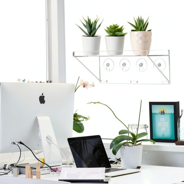 Clear Acrylic Window Plant Box Sumerflos 2 Pack 12" x 5.5" Suction-3
