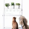 Clear Acrylic Window Plant Box Sumerflos 2 Pack 12" x 5.5" Suction-7