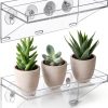 Clear Acrylic Window Plant Box Sumerflos 2 Pack 12" x 5.5" Suction-0