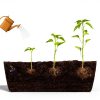 HOXHA Window Box Planter White 6 Pack Plastic Garden Box with Tray-4