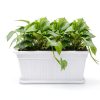GROWNEER 3 Packs 17 Inches White Flower Window Box Plastic Vegetable Planters Long Pots with 15 Pcs Plant Labels for Outdoor Indoor Windowsill Patio Garden Home Decor Porch-6