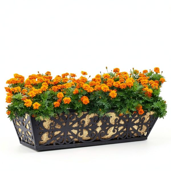 Karlliu 2 Pack 24 Inch Window Boxes Planters with Adjustable Brackets-6