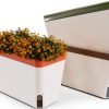 OurWarm Windowsill Herb Planter Box, Set of 3 Self Watering Plant Pots, 10.5 Inch Rectangular Planter Pot, Decorative Garden Flower Pots for Indoor Plants, Herbs, Vegetables, Flowers (3 Colors)-0