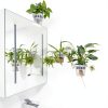 Set of 3 Plastic Window Planter with Suction Cup Holder. Clear Self Watering Window Mounted Plant Pots, Window Sill Planters Extender for Indoor Hydroponic Plants-3