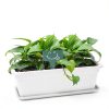 GROWNEER 3 Packs 17 Inches White Flower Window Box Plastic Vegetable Planters Long Pots with 15 Pcs Plant Labels for Outdoor Indoor Windowsill Patio Garden Home Decor Porch-1