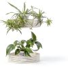 Set of 3 Plastic Window Planter with Suction Cup Holder. Clear Self Watering Window Mounted Plant Pots, Window Sill Planters Extender for Indoor Hydroponic Plants-4