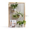 Set of 3 Plastic Window Planter with Suction Cup Holder. Clear Self Watering Window Mounted Plant Pots, Window Sill Planters Extender for Indoor Hydroponic Plants-2